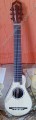 Guitarra de Viajero palo de rosa4